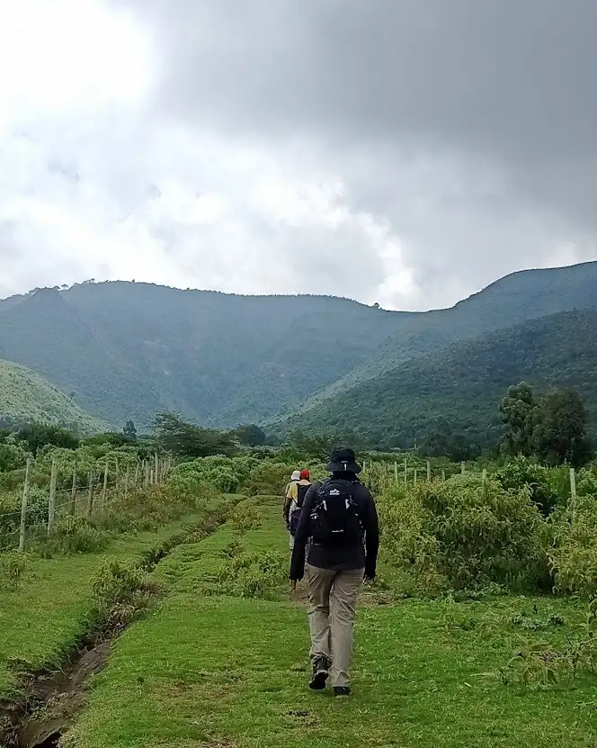 Run. Ride. Hike. Swim. Train.