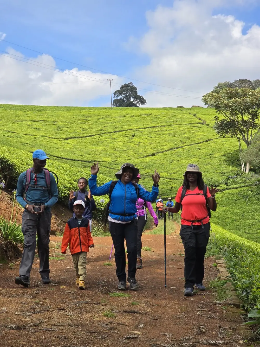 TipwaTipwa Trekkers