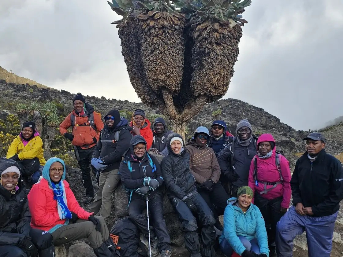 A large hiking group gathered beneath a rock outcrop on Mt Kenya